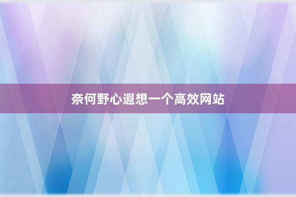 奈何野心遐想一个高效网站